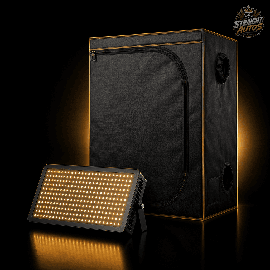 Starter Bundle
