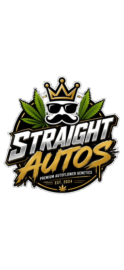 Straight Autos Premium Autoflower Genetics by Gypsynando