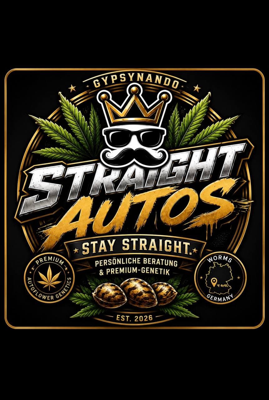 Gypsynando, Gründer von Straight Autos