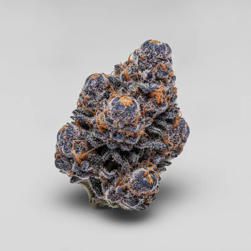 Blueberry Auto Autoflower Samen, professionelles Produktfoto, 18–21% THC, 80% Indica / 20% Sativa