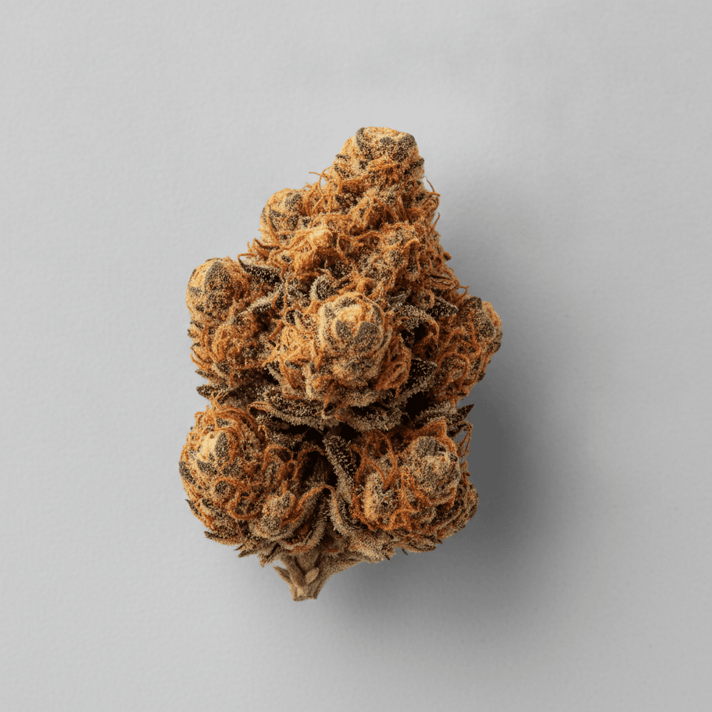 Mendo Juice Auto