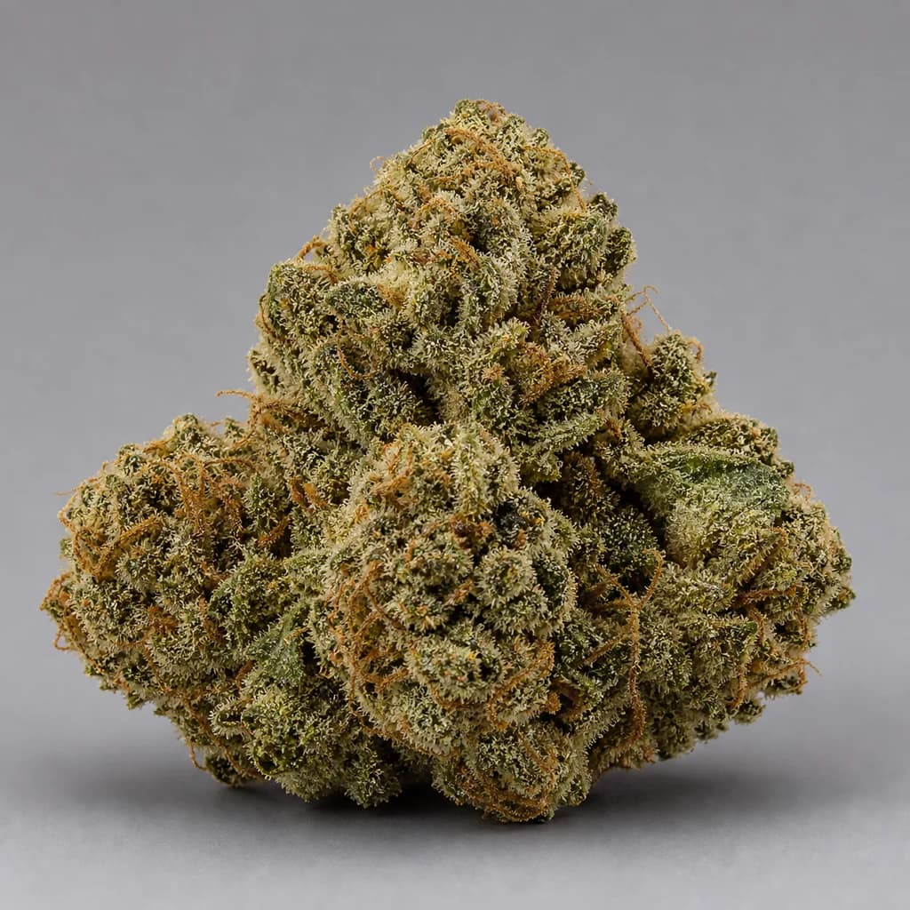 Peanut Butter Breath Auto Autoflower Samen, professionelles Produktfoto, 20–23% THC, 60% Indica / 40% Sativa