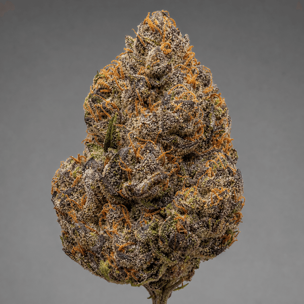 Super Boof Auto