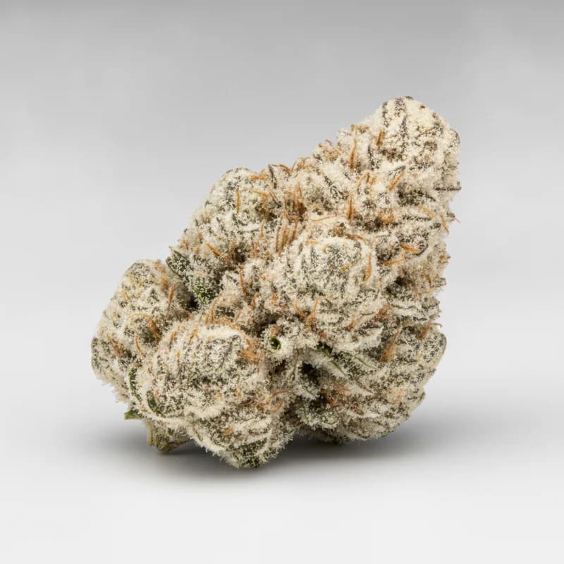Cereal Milk Auto Autoflower Samen, professionelles Produktfoto, 22–25% THC, 55% Indica / 45% Sativa