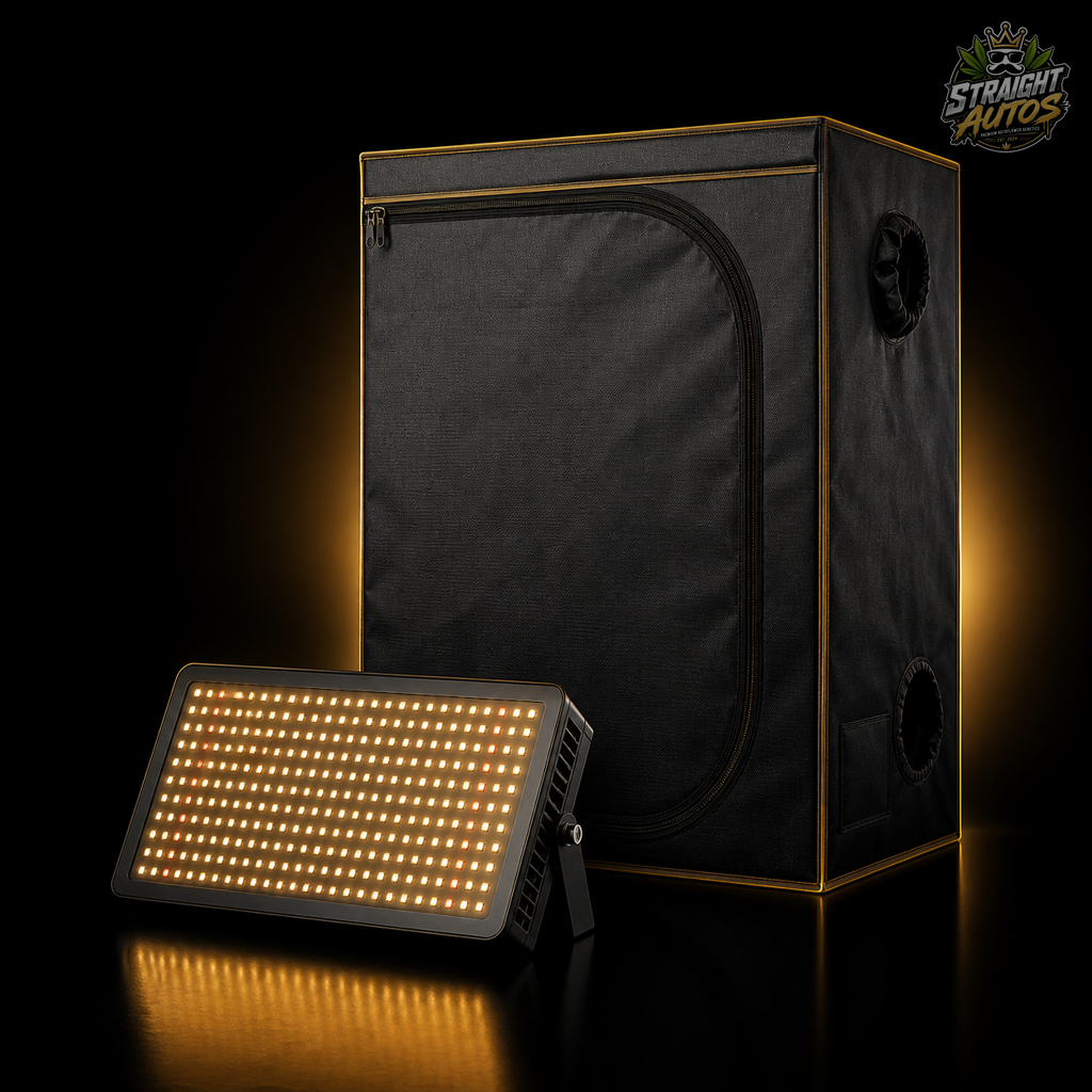 Starter Bundle
